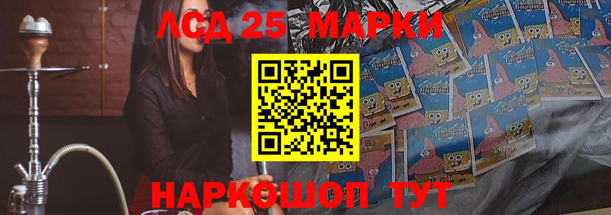 Псилоцибиновые грибы Кимовск