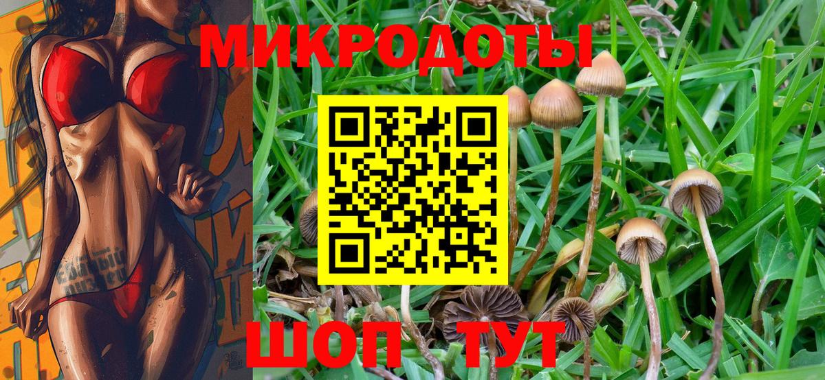 Псилоцибиновые грибы Magic Shrooms  где найти наркотики  Вход с VPN  Кимовск  Галлюциногенные грибы мицелий 